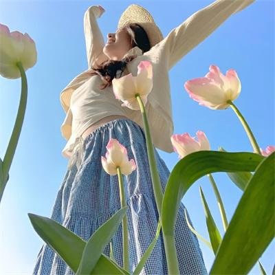 一级方程式：疾速争胜第五季