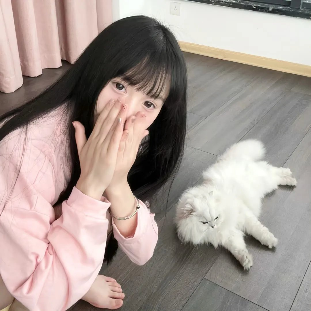 风云战国之列国