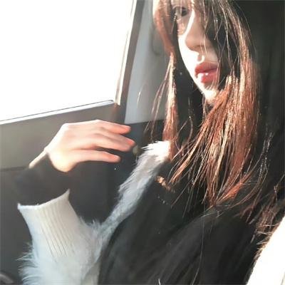 鸡飞狗跳小鹰到